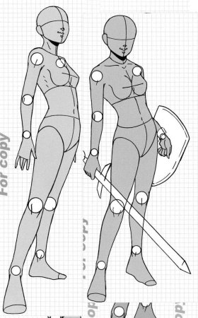 Заготовки тела для рисования