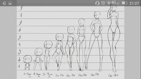 Пропорции тела для рисования аниме