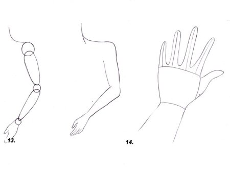Поэтапное рисование частей тела