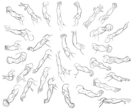 Рука сзади референс