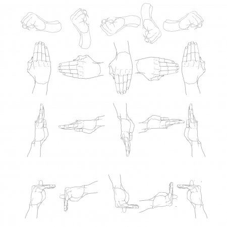 Анатомия человека для рисования