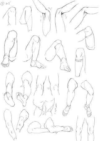 Анатомия человека для рисования аниме ноги