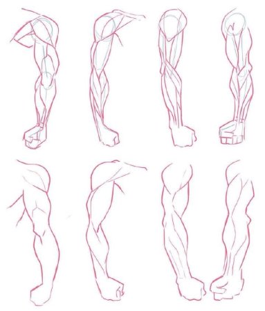 Уроки рисования мужского тела