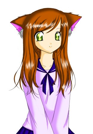 Кошачьи позы для рисования