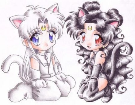 Позы для рисования с котами