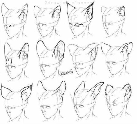 Кошачьи уши референс аниме