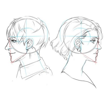 Голова с боку Реверенс