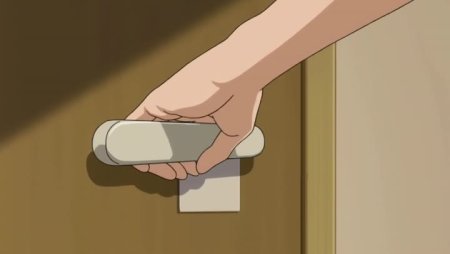 Аниме дверь