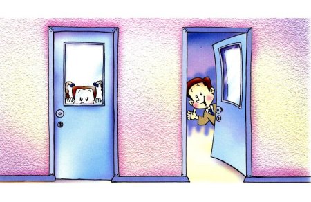 Дверь карикатура