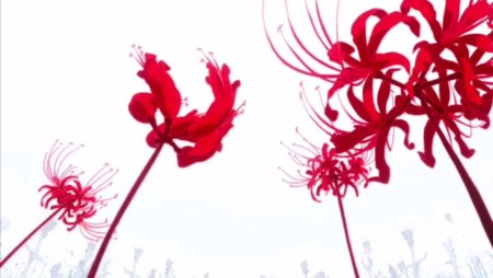 Паучья Лилия Токийский гуль