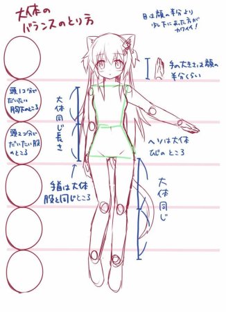 Анатомия тела для рисования аниме