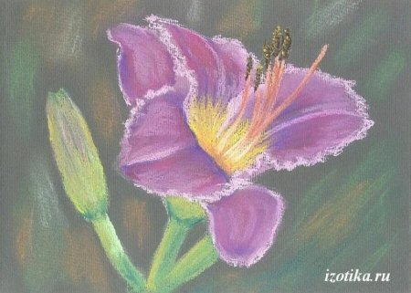 Цветы нарисованные от веры Кальченко пастелью легко