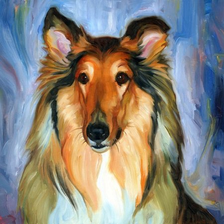 Шотландский колли акварель