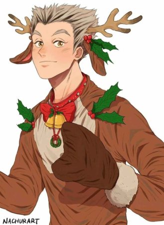 Бокуто Кристмас