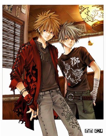 Два мальчика аниме