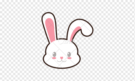 Милые мордочки зайчиков