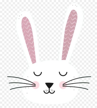 Мордочка зайки