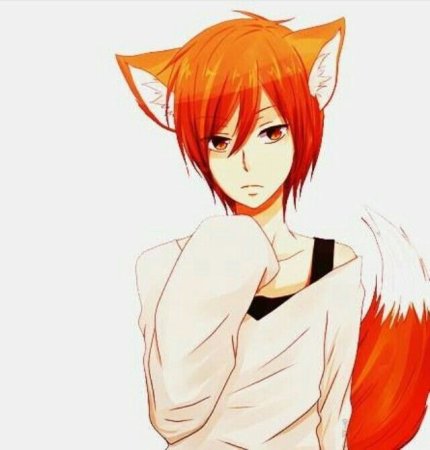 Аниме неко кун Лис