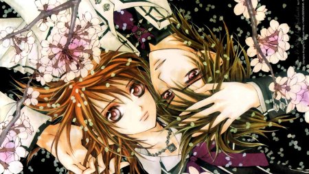 Vampire Knight аниме