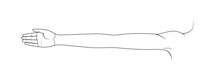 Рука предплечье раскраска