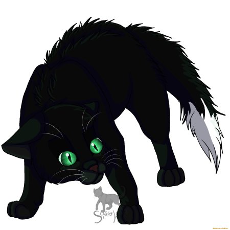 Коты Воители чёрный коготь