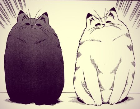 Коты в манге