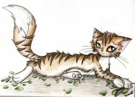 Коты Воители рисунки
