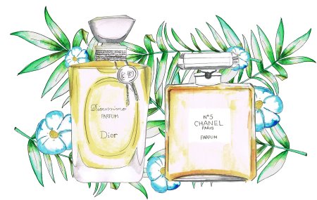 Духи скетч вектор