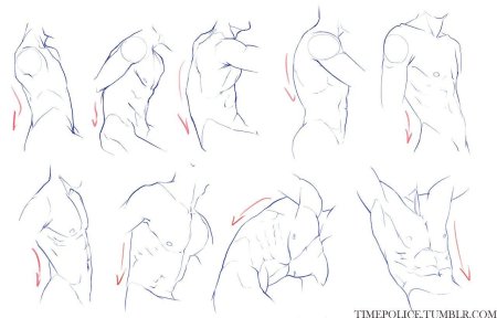 Туториал торс сбоку