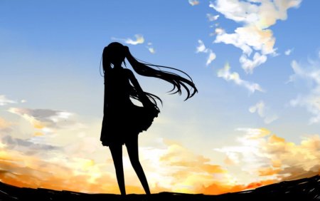 Силуэт девушки с длинными волосами