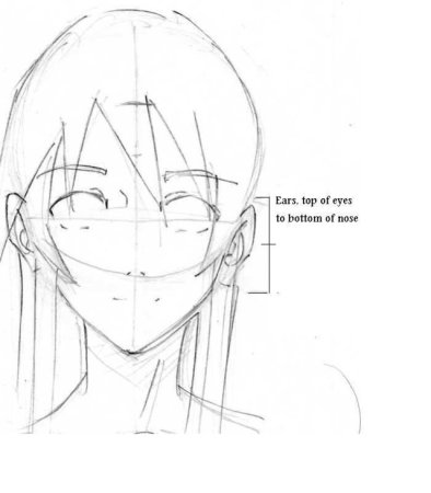Анатомия головы для рисования аниме