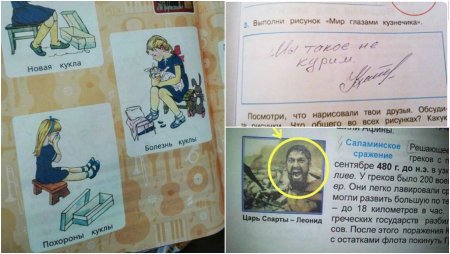 Смешные картинки в учебниках