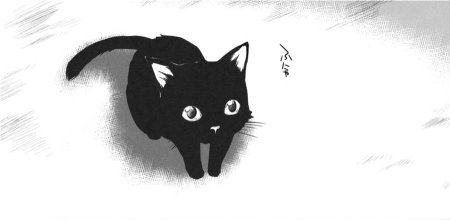 Аниме котики черно белые