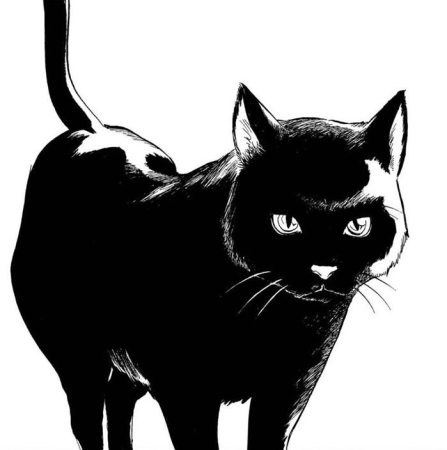 Черная кошка