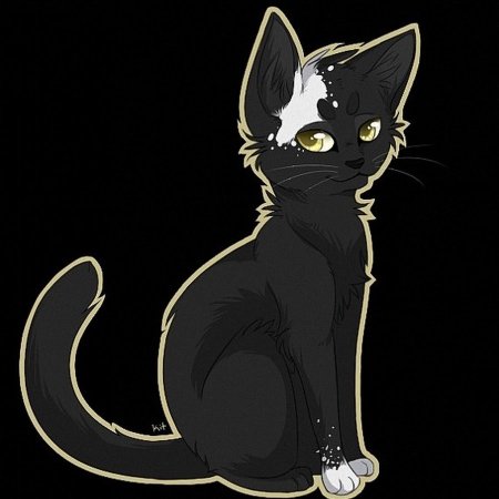 Коты Воители черная кошка с желтыми глазами