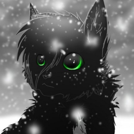 Черный кот коты Воители арт