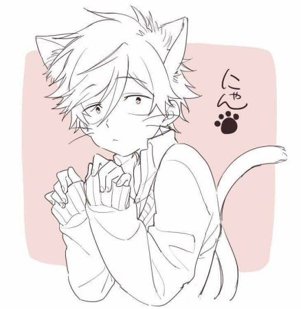 Леви неко кун