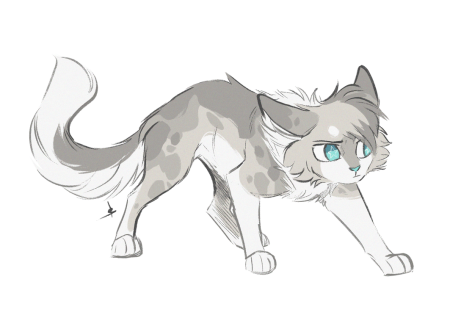 Коты Воители аниме в полный рост