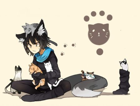 Аниме котики