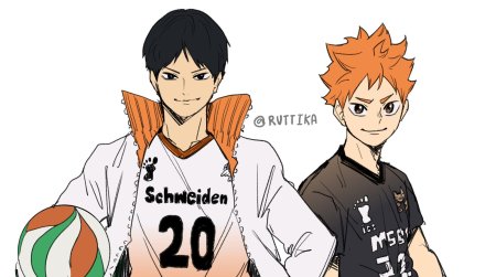 Волейбол Хината MSBY