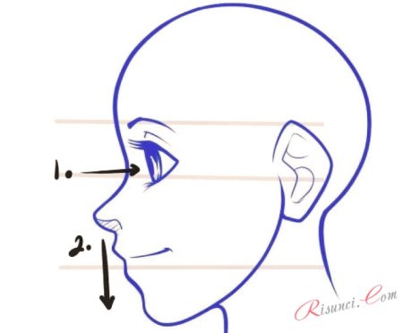 Лицо в профиль рисунок