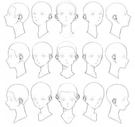 Голова сбоку референс