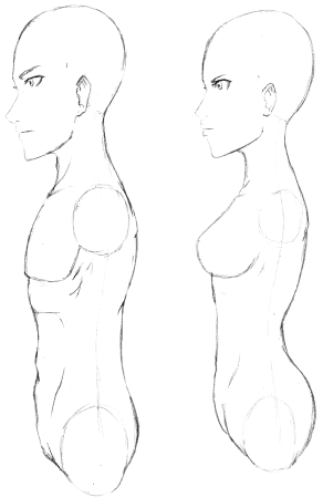 Человек в профиль референс в полный рост