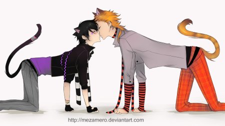 Аниме котики парни