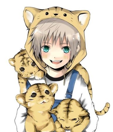Мальчик тигр аниме
