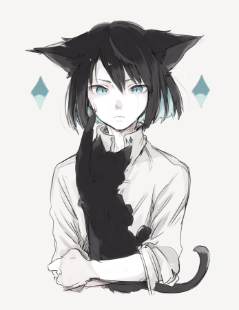 Референс неко кун