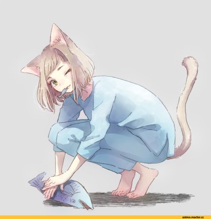 Человек с кошачьими ушками и хвостом