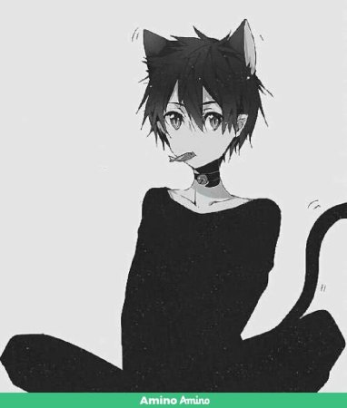 Кошкомальчик Кирито