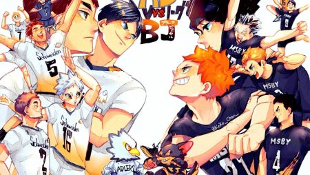 Волейбол Хината MSBY