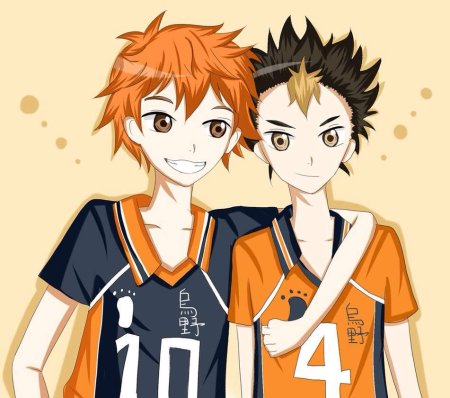 Нишиноя юу и Хината шоё